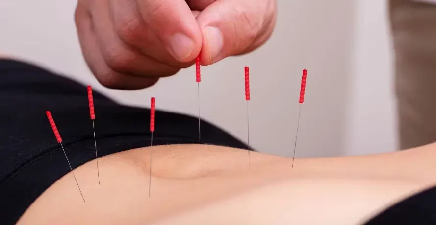 Screenshot-2025-08-27-101502