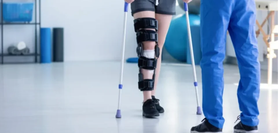 snapedit_1731587897280