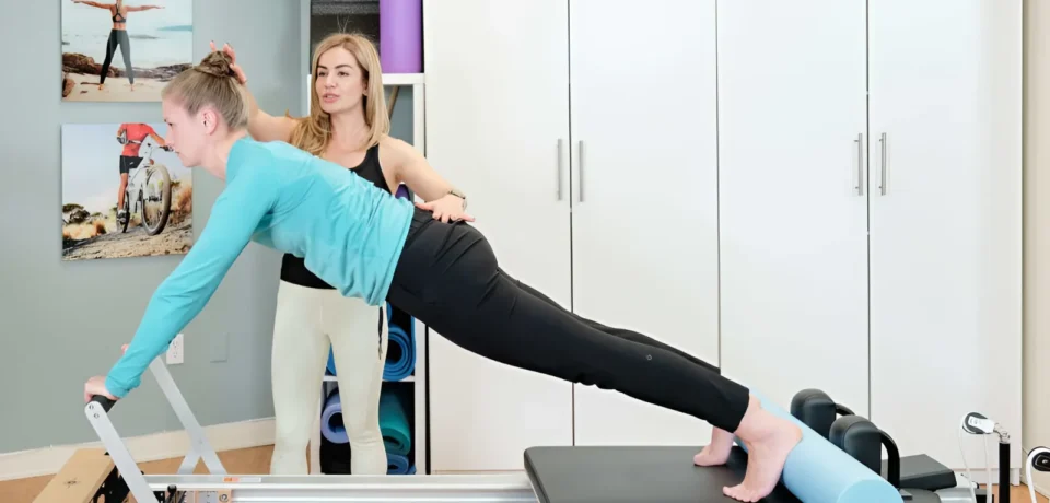 snapedit_1731645754176