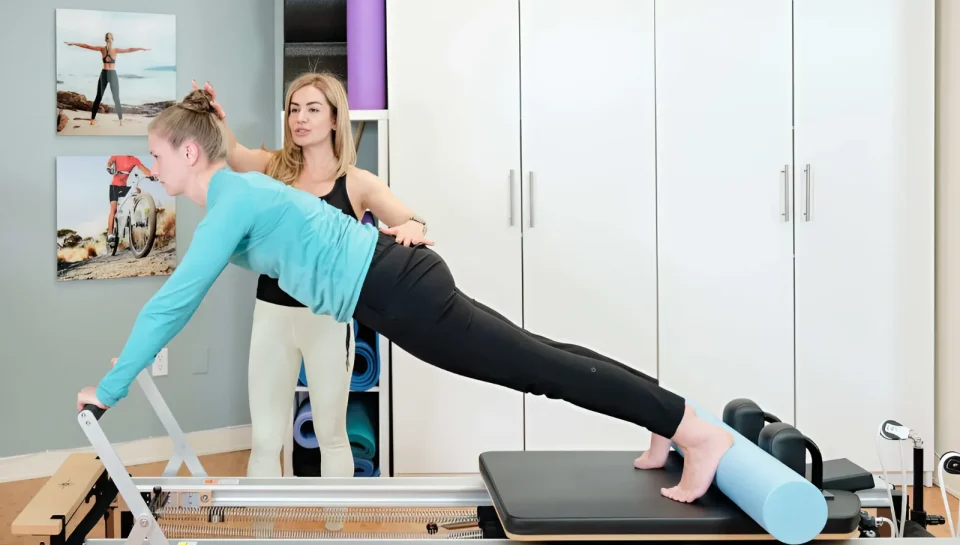 snapedit_1731645754176